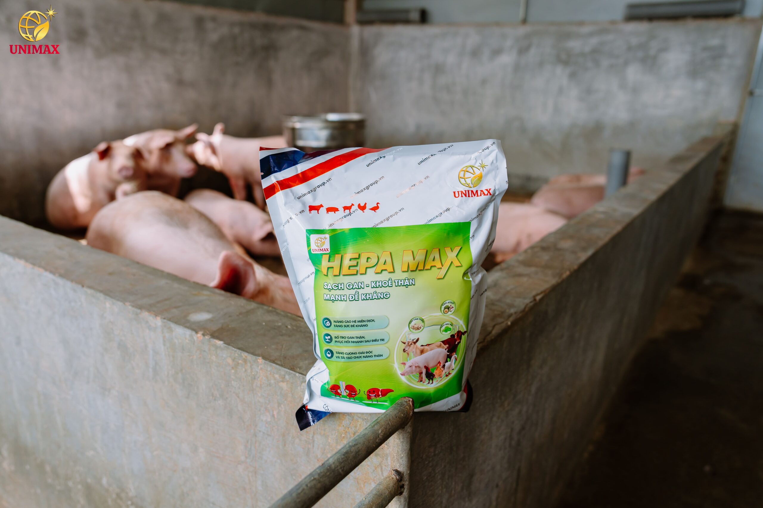 HEPA MAX: Giải Pháp Toàn Diện Cho Gan Thận, Tăng Cường Sức Đề Kháng Vật Nuôi