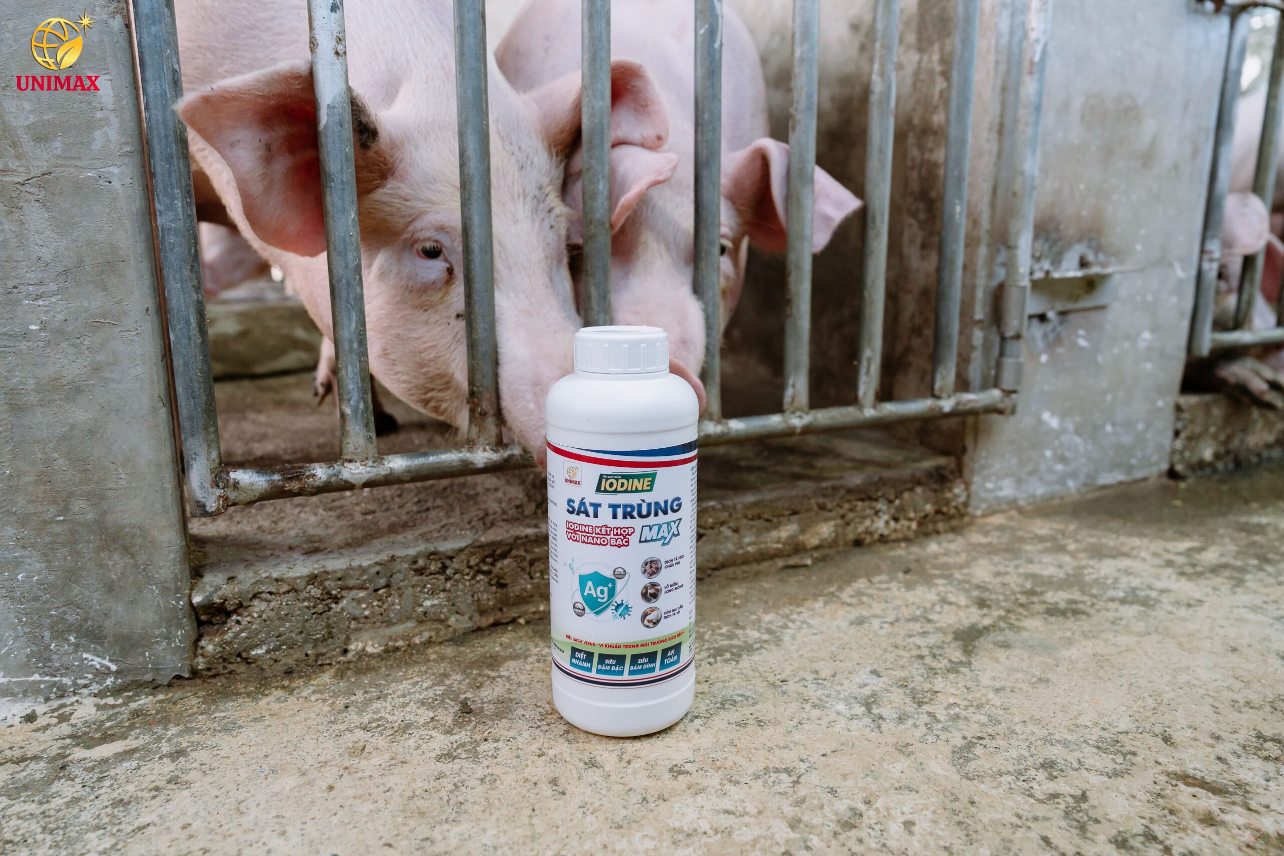 IODINE: Sát Trùng Phổ Rộng, Diệt Sạch Virus - Hàng Rào Bảo Vệ Bền Vững