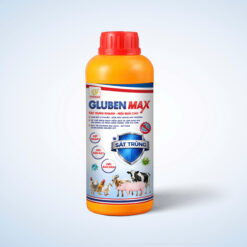 GLUBEN MAX